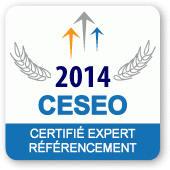 Она также была сертифицирована CESEO, экспертом по SEO с 2014 года